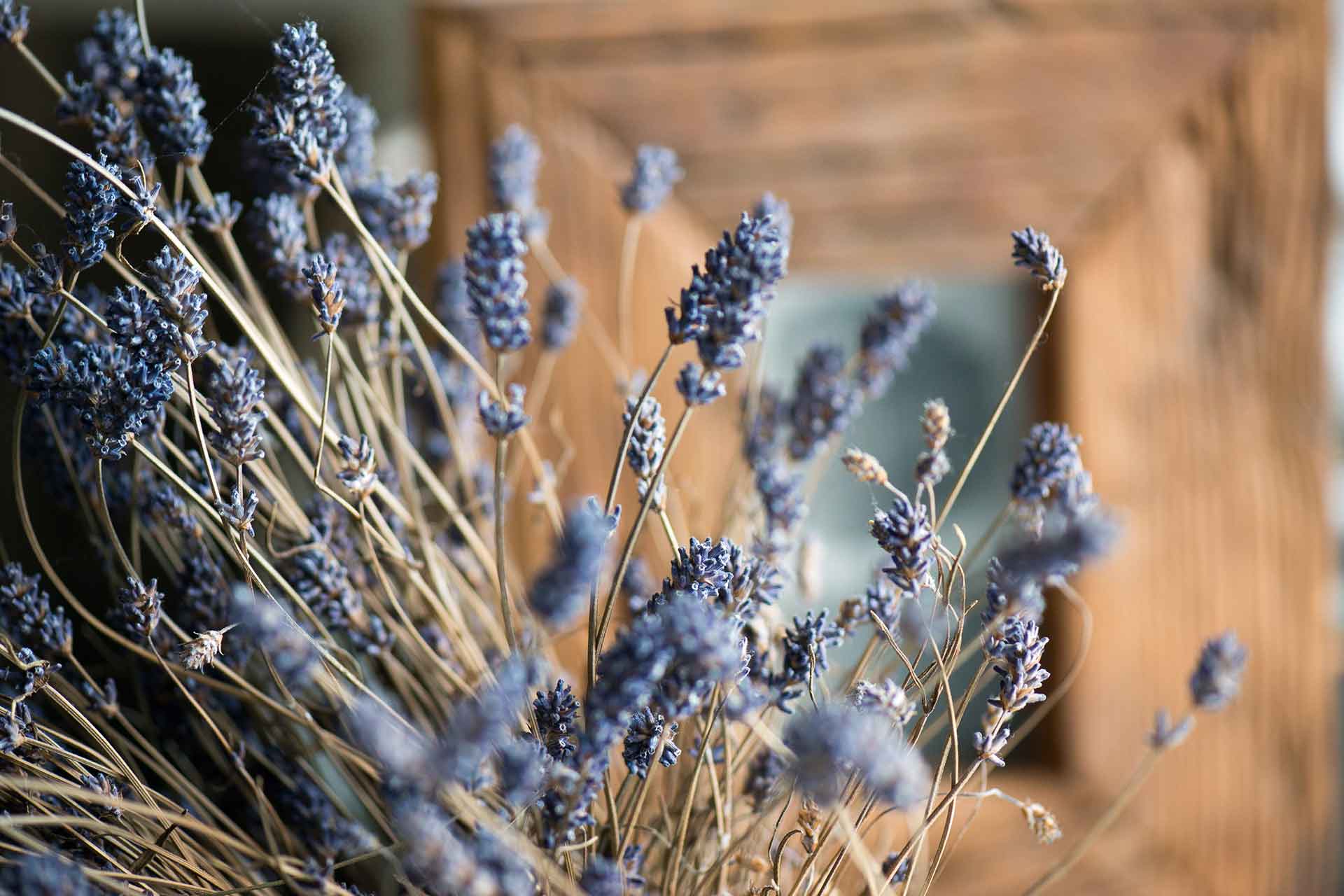 Echter Lavendel vor Alt-Holz Bilderramen