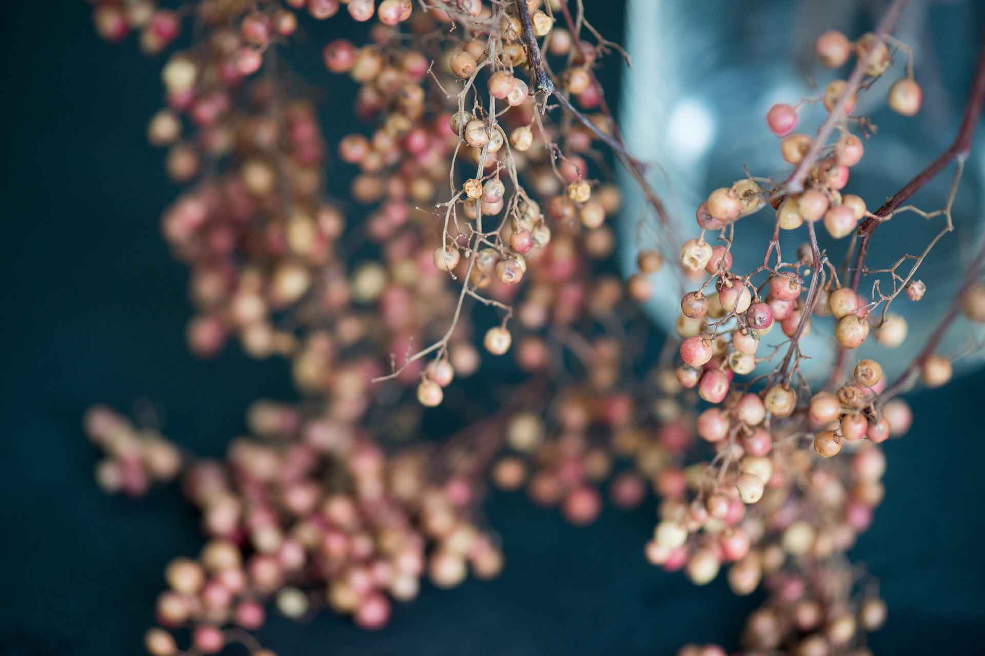 filigrane Pfefferkörner