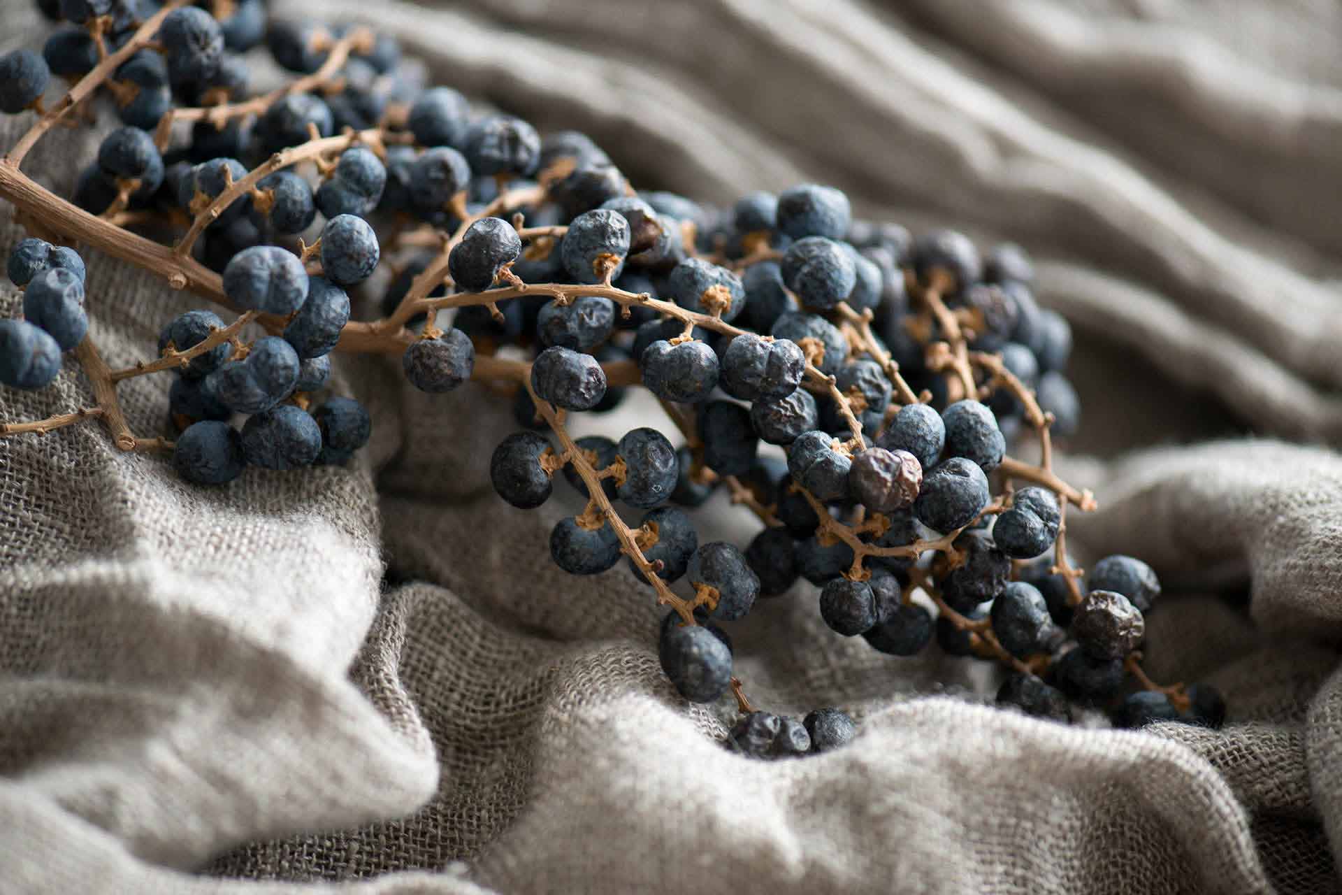 Edle Leinen und natürlich schöne Weinbeeren