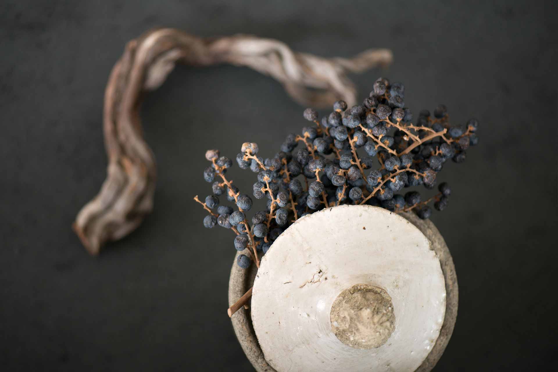 Schönheit pur - Weinbeeren und Schwemmholz